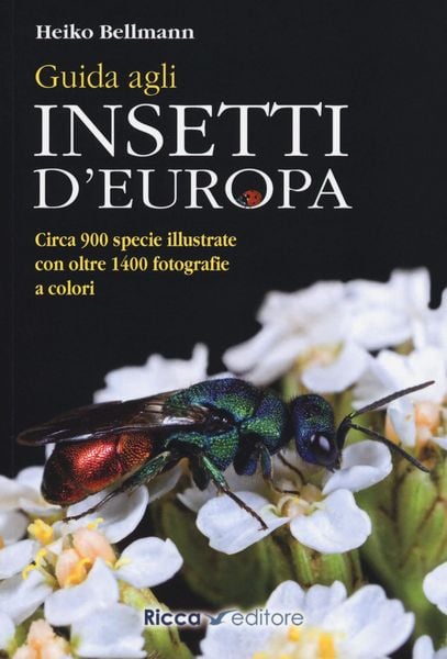 Produktbild: Guida agli insetti d'Europa