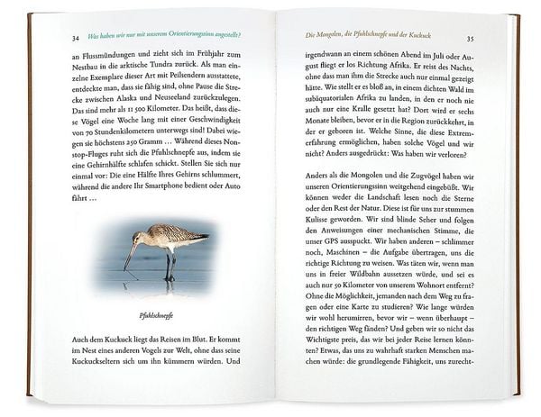 Produktbild: Kleine Philosophie der V&ouml;gel