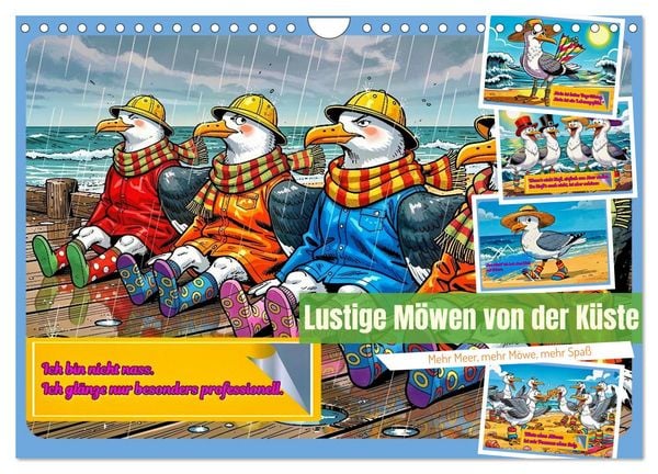 Produktbild: Lustige M&ouml;wen von der K&uuml;ste (Wandkalender 2027 DIN A4 quer), CALVENDO Monatskalender