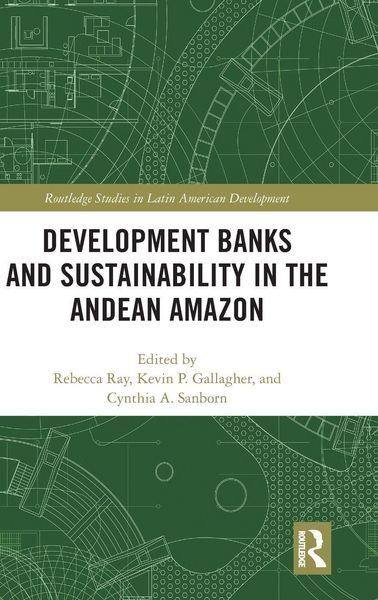 Produktbild: Development Banks and Sustainability in the Andean Amazon