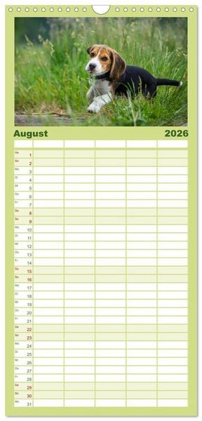 Produktbild: Familienplaner 2026 - Beaglebabys auf Entdeckungstour mit 5 Spalten (Wandkalender, 21 x 45 cm) CALVENDO