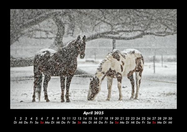 Produktbild: Winterzauber 2025 Fotokalender DIN A3