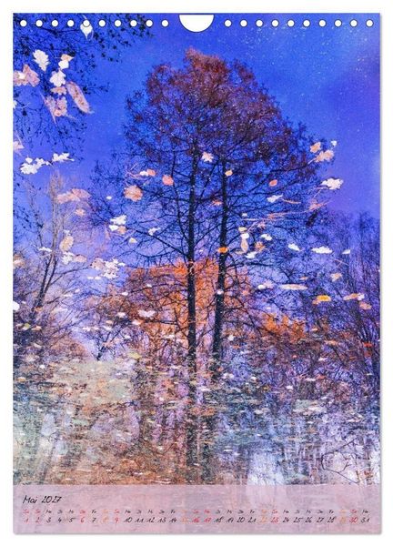 Produktbild: Wo der Wald tr&auml;umt (Wandkalender 2027 DIN A4 hoch), CALVENDO Monatskalender