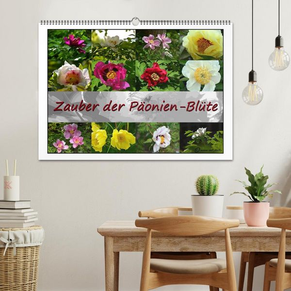 Produktbild: Zauber der P&auml;onien-Bl&uuml;te (Wandkalender 2026 DIN A2 quer), CALVENDO Monatskalender