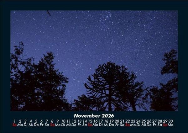 Produktbild: B&auml;ume 2026 Fotokalender DIN A5