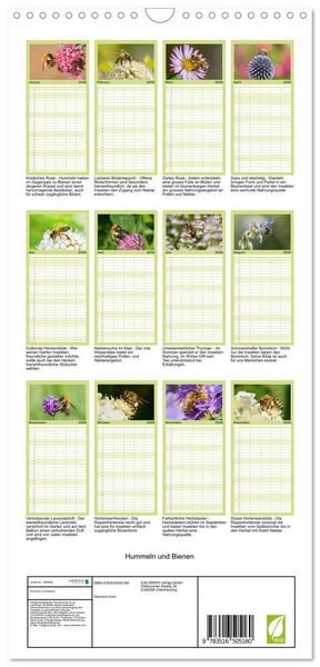 Produktbild: Familienplaner 2026 - Hummeln und Bienen mit 5 Spalten (Wandkalender, 21 x 45 cm) CALVENDO