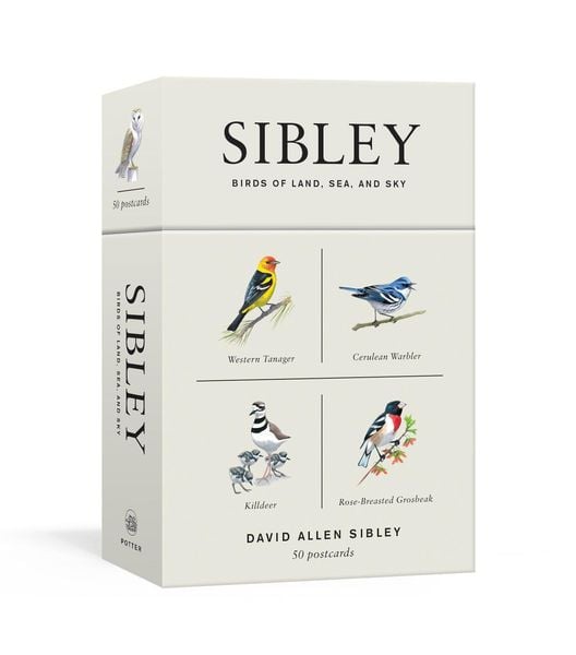Produktbild: Sibley Birds of Land, Sea, and Sky