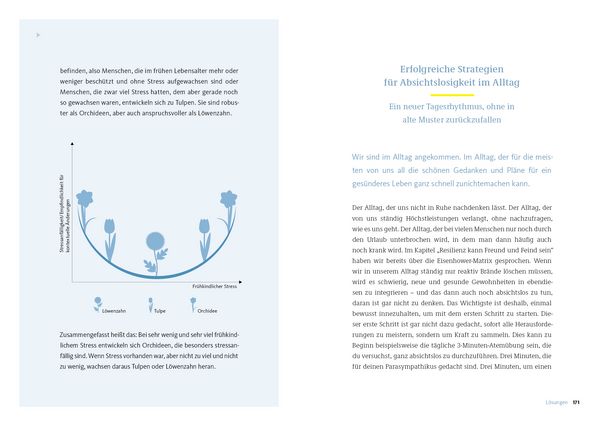 Produktbild: Die Strategie der Absichtslosigkeit