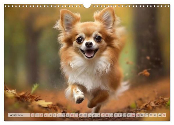Produktbild: Chihuahuas - Kleine Hunde - gro&szlig;e Temperamentb&uuml;ndel (Wandkalender 2026 DIN A3 quer), CALVENDO Monatskalender