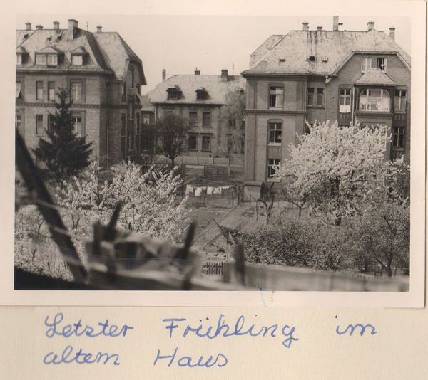 Produktbild: Mein lesbisches Auge 21