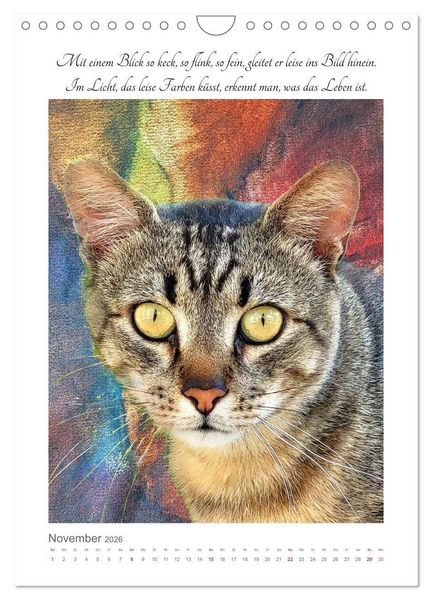 Produktbild: Katzenlyrik - Zw&ouml;lf Seelen auf Samtpfoten in Wort und Bild (Wandkalender 2026 DIN A4 hoch), CALVENDO Monatskalender