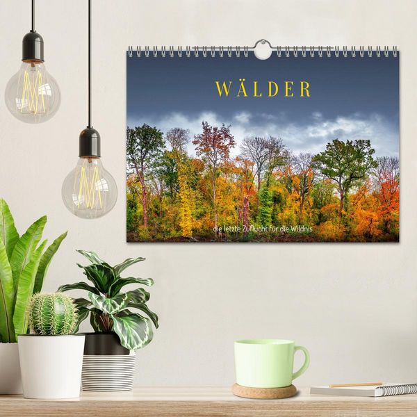 Produktbild: W&auml;lder: die letzte Zuflucht f&uuml;r die Wildnis (Wandkalender 2026 DIN A4 quer), CALVENDO Monatskalender