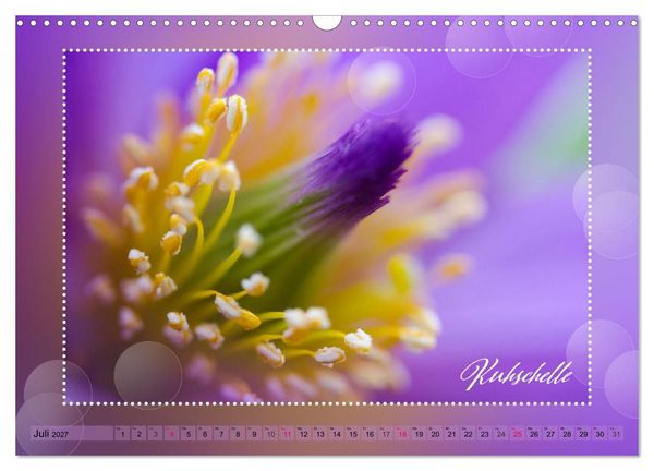 Produktbild: Bl&uuml;tenbouquet (Wandkalender 2027 DIN A3 quer), CALVENDO Monatskalender