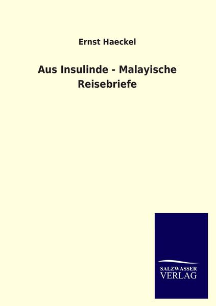 Produktbild: Aus Insulinde - Malayische Reisebriefe