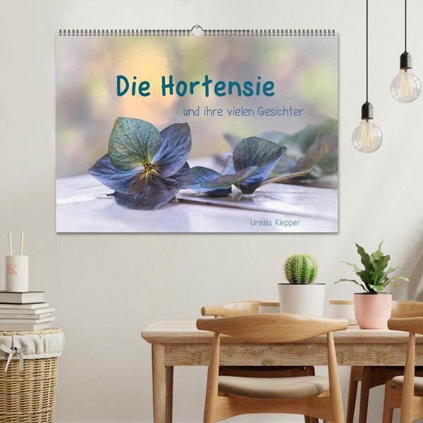 Produktbild: Die Hortensie und ihre vielen Gesichter (Wandkalender 2026 DIN A2 quer), CALVENDO Monatskalender