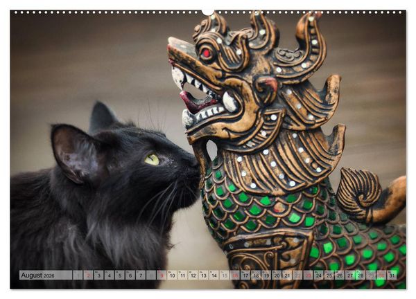 Produktbild: Taffe Begegnungen-Drei Waldkatzen auf Abenteuerreisen (Wandkalender 2026 DIN A2 quer), CALVENDO Monatskalender