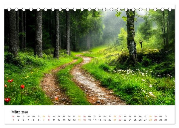 Produktbild: Mystik der W&auml;lder (Tischkalender 2026 DIN A5 quer), CALVENDO Monatskalender