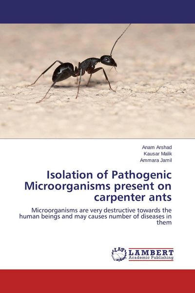 Produktbild: Isolation of Pathogenic Microorganisms present on carpenter ants