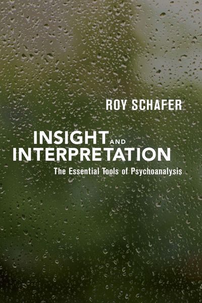Produktbild: Insight and Interpretation
