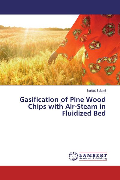Produktbild: Gasification of Pine Wood Chips with Air-Steam in Fluidized Bed