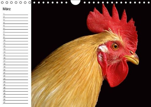 Produktbild: H&uuml;hner / Geburtstagskalender (Wandkalender immerw&auml;hrend DIN A4 quer)