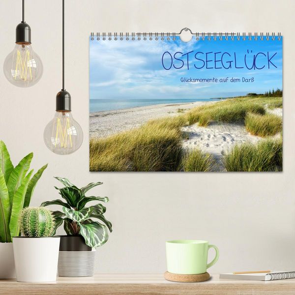 Produktbild: OSTSEEGL&Uuml;CK - Gl&uuml;cksmomente auf dem Dar&szlig; (Wandkalender 2026 DIN A4 quer), CALVENDO Monatskalender