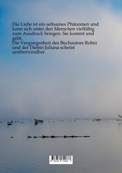 Produktbild: Die Gezeitenfrau