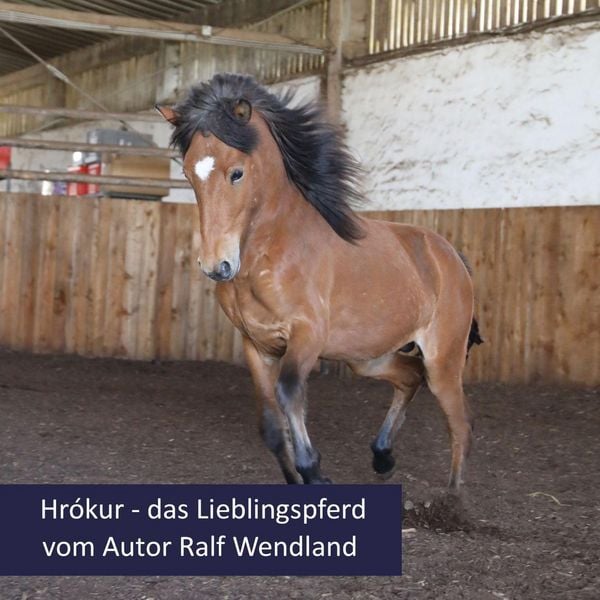 Produktbild: Hr&oacute;kur und die Himmelsreiter