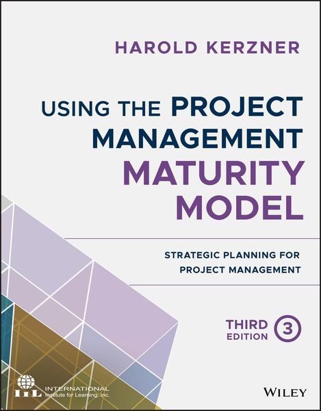 Produktbild: Using the Project Management Maturity Model