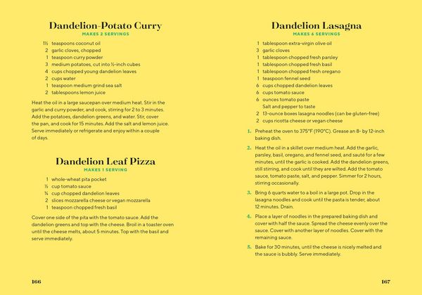 Produktbild: Dandelion Medicine, 2nd Edition