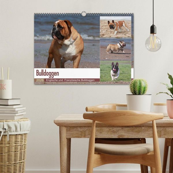 Produktbild: Bulldoggen - Englische und Franz&ouml;sische Bulldoggen (Wandkalender 2026 DIN A3 quer), CALVENDO Monatskalender