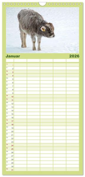 Produktbild: Familienplaner 2026 - Die Kuh macht Muuuh! mit 5 Spalten (Wandkalender, 21 x 45 cm) CALVENDO