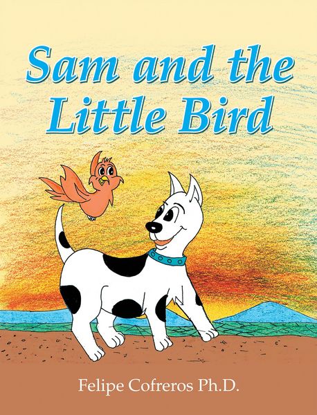 Produktbild: Sam and the Little Bird