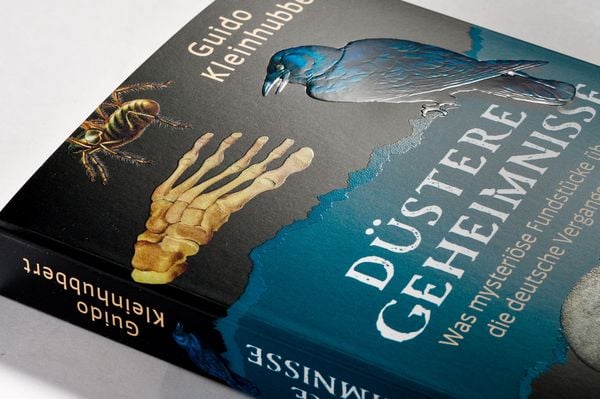 Produktbild: D&uuml;stere Geheimnisse