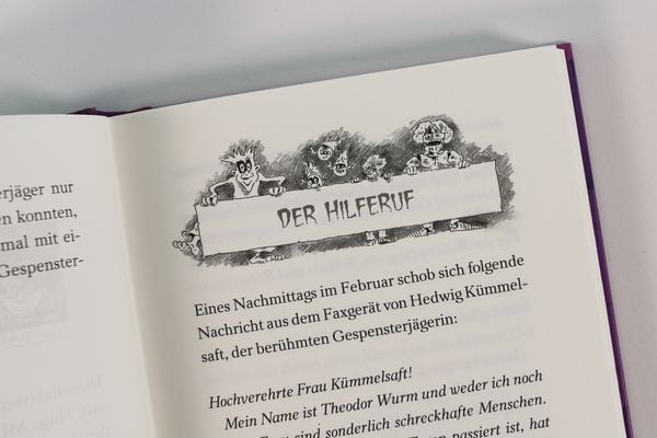 Produktbild: Gespensterjäger in der Gruselburg (Band 3) - Mit 8 neu illustrierten Farbseiten
