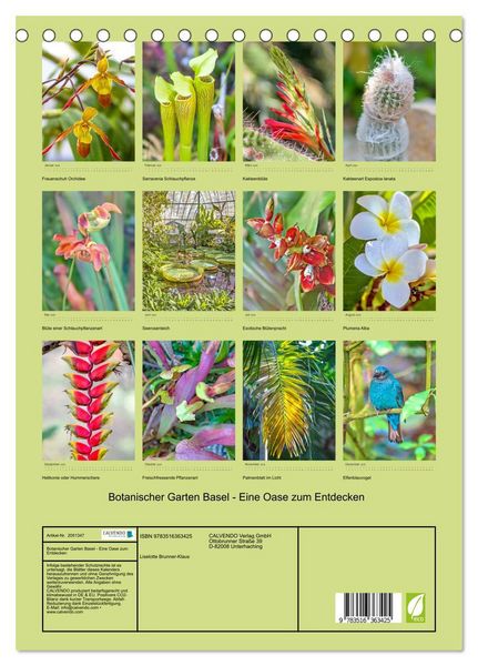 Produktbild: Botanischer Garten Basel - Eine Oase zum Entdecken (Tischkalender 2026 DIN A5 hoch), CALVENDO Monatskalender
