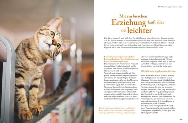 Produktbild: Katzensprache