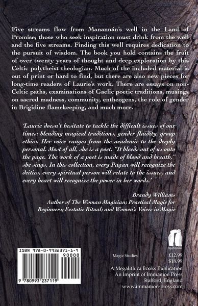 Produktbild: The Well of Five Streams