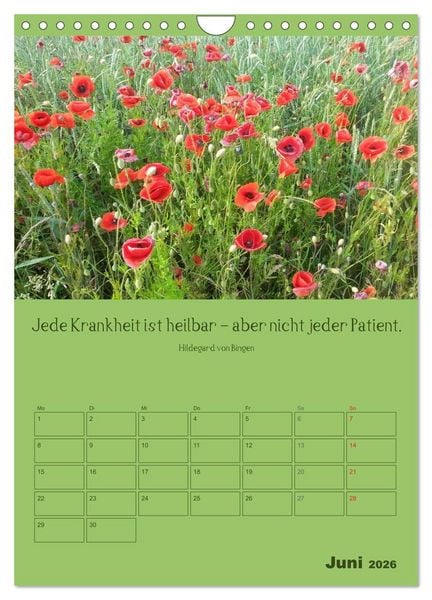 Produktbild: Erkenntnis und Weisheit - Hildegard von Bingen (Wandkalender 2026 DIN A4 hoch), CALVENDO Monatskalender