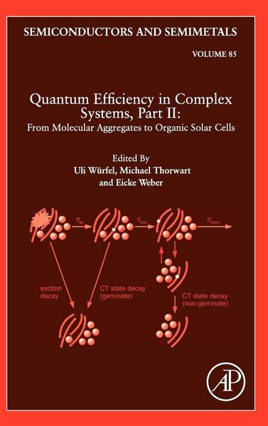 Produktbild: Quantum Efficiency in Complex Systems, Part II