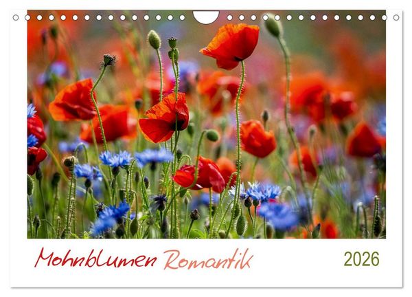 Produktbild: Mohnblumen Romantik (Wandkalender 2026 DIN A4 quer), CALVENDO Monatskalender