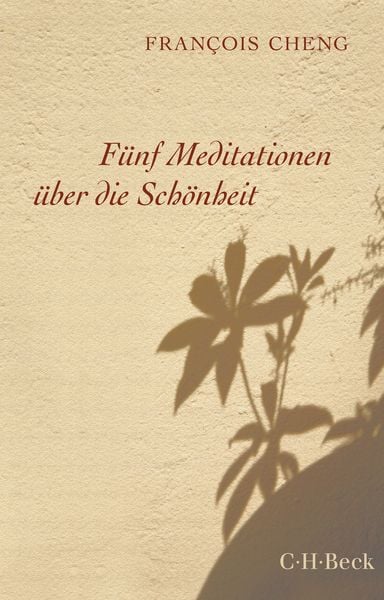 Produktbild: F&uuml;nf Meditationen &uuml;ber die Sch&ouml;nheit