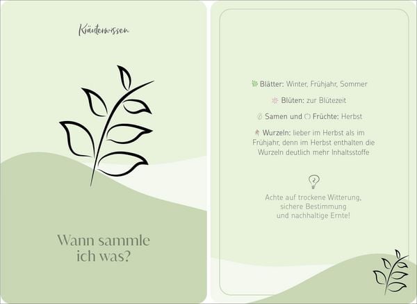 Produktbild: Dein Weg zu Selfcare aus der Natur