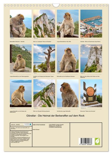 Produktbild: Gibraltar - Die Heimat der Berberaffen auf dem Rock (Wandkalender 2026 DIN A3 hoch), CALVENDO Monatskalender