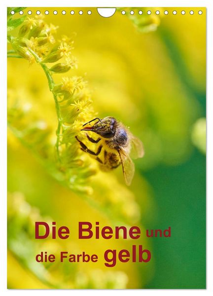 Produktbild: Die Biene und die Farbe gelb (Wandkalender 2026 DIN A4 hoch), CALVENDO Monatskalender