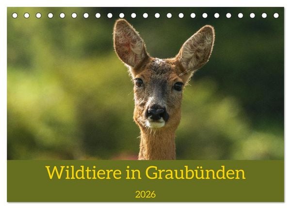 Wildtiere in Graubünden (Tischkalender 2026 DIN A5 quer), CALVENDO Monatskalender