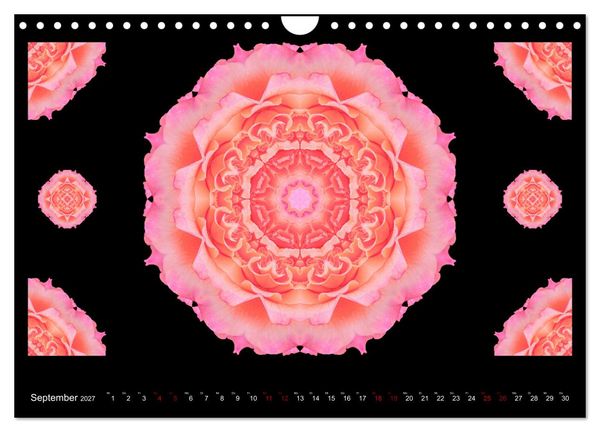 Produktbild: ROSEN MANDALAS (Wandkalender 2027 DIN A4 quer), CALVENDO Monatskalender