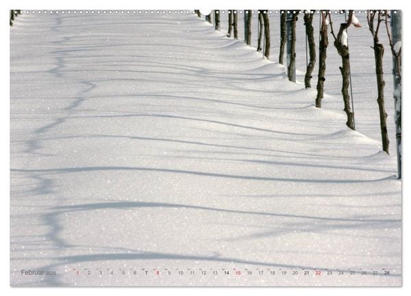 Produktbild: Im Baden-Badener Rebland 2026 (Wandkalender 2026 DIN A2 quer), CALVENDO Monatskalender