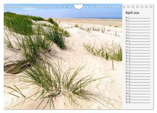 Produktbild: BORKUM Geburtstagskalender mit Planerfunktion (Wandkalender 2026 DIN A4 quer), CALVENDO Monatskalender