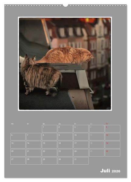Produktbild: Katzen Blues / Planer (hochwertiger Premium Wandkalender 2026 DIN A2 hoch), Kunstdruck in Hochglanz